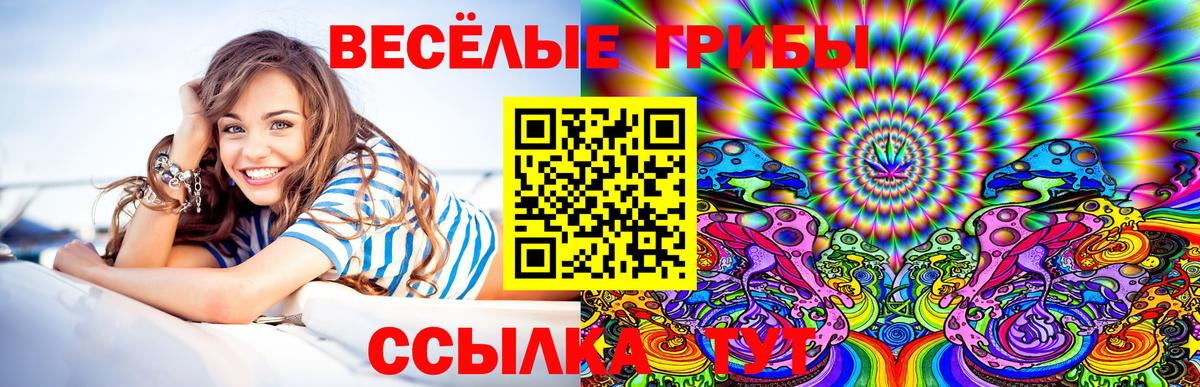 Псилоцибиновые грибы прущие грибы  Вход с VPN  Сегежа 